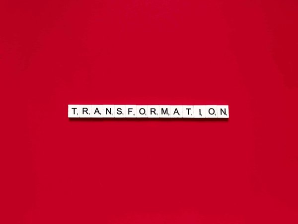 L'art de la menuiserie : Comment des fenêtres sur mesure transforment votre maison