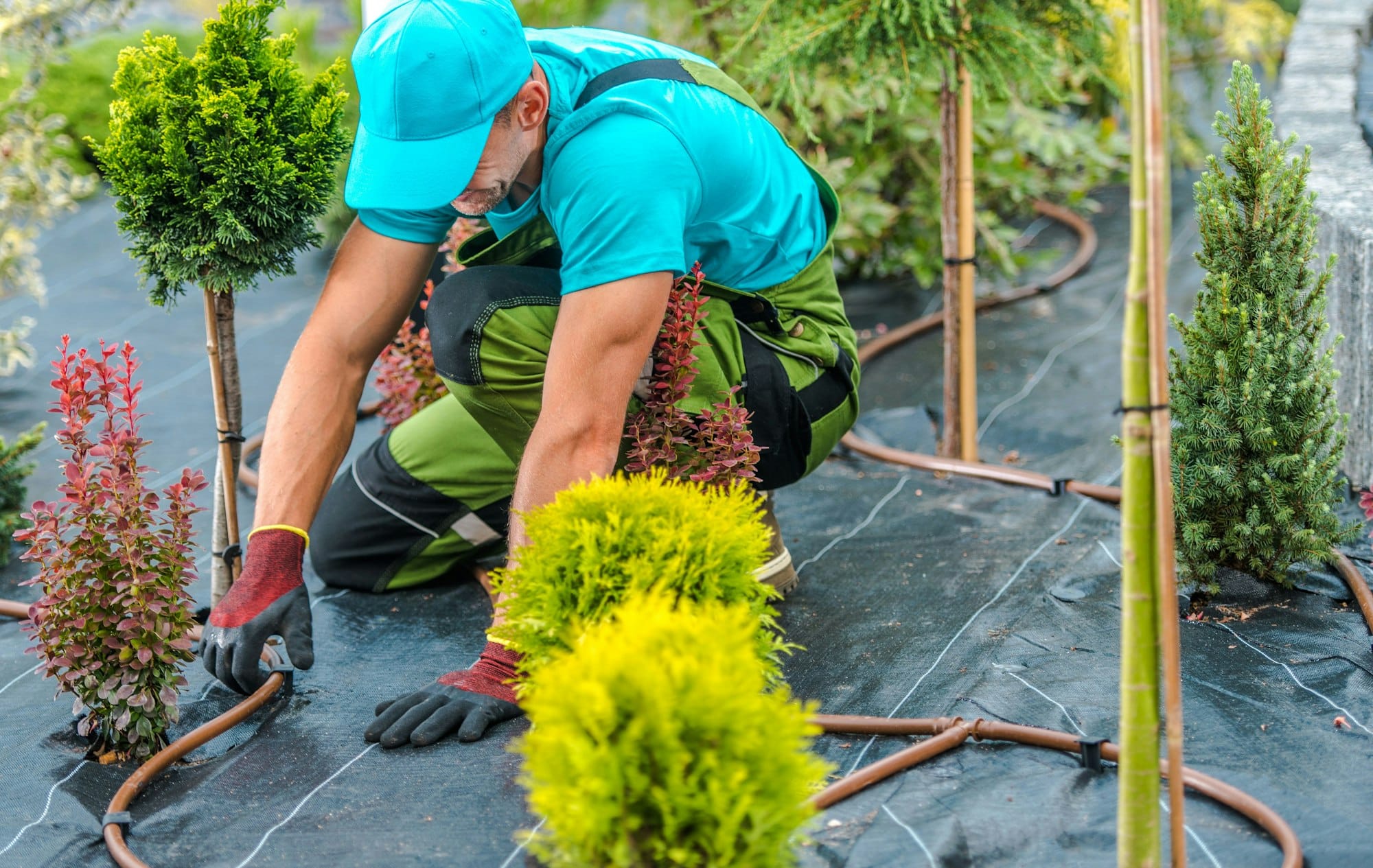 Comment maximiser l’espace de mon petit jardin grâce à un paysagiste ?