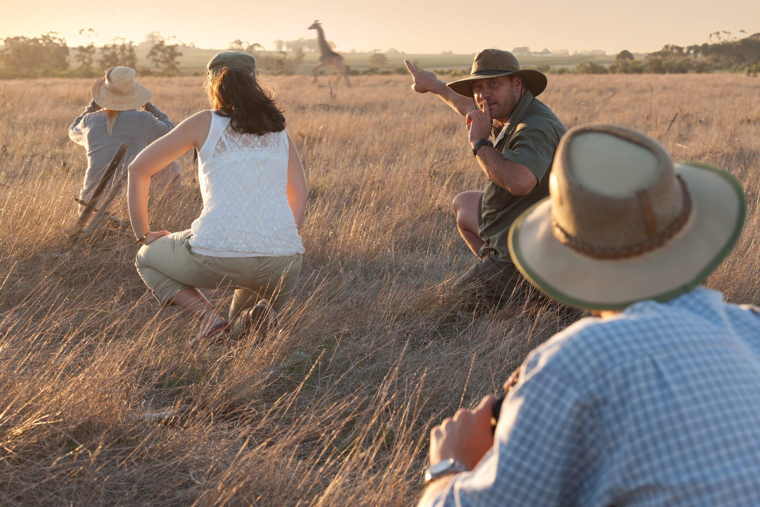 Safaris de luxe en Afrique : Rencontrez la faune sauvage en style